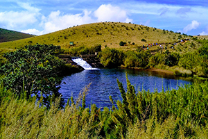 Horton Plains