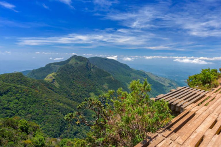Horton Plains 5