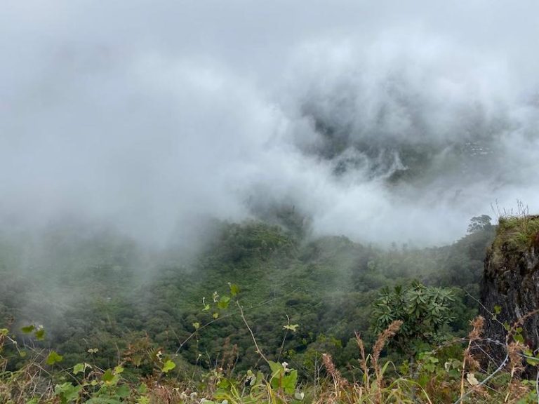 Horton Plains