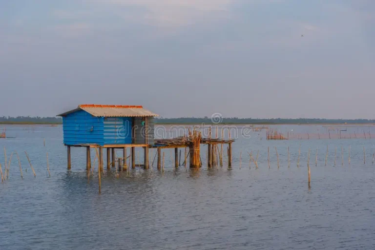 Jaffna