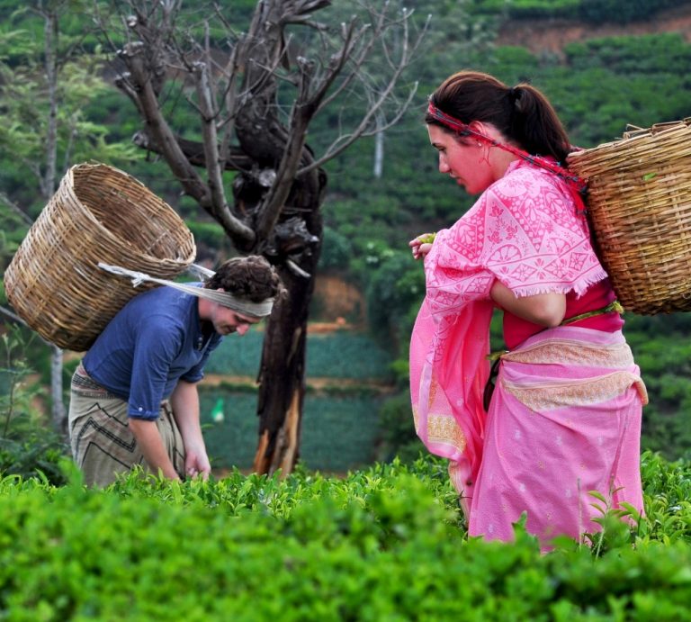 NUwaraeliya7