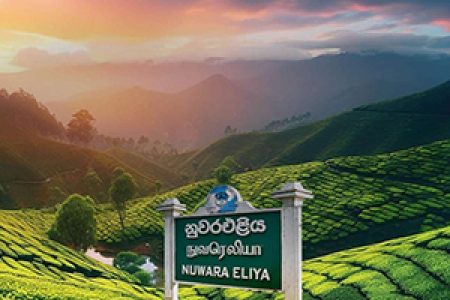 Cultural Tour Around Sri Lanka