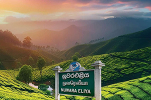NuwaraEliya