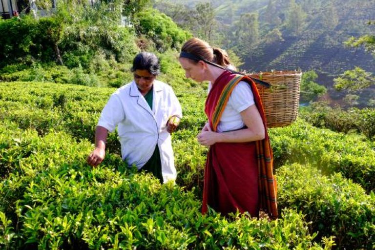 Nuwaraeliya9