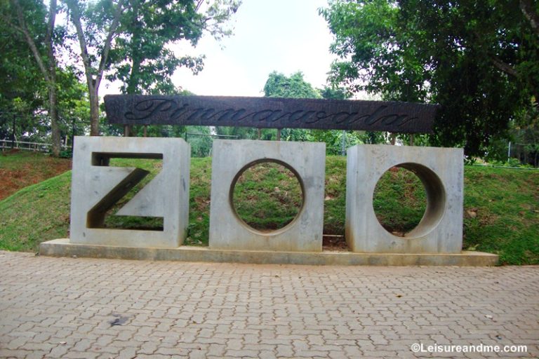 Pinnawala-zoo