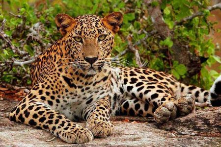 Wildlife, Hiking, Beach & Adventure Tours