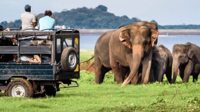 Yala-National-Park-2