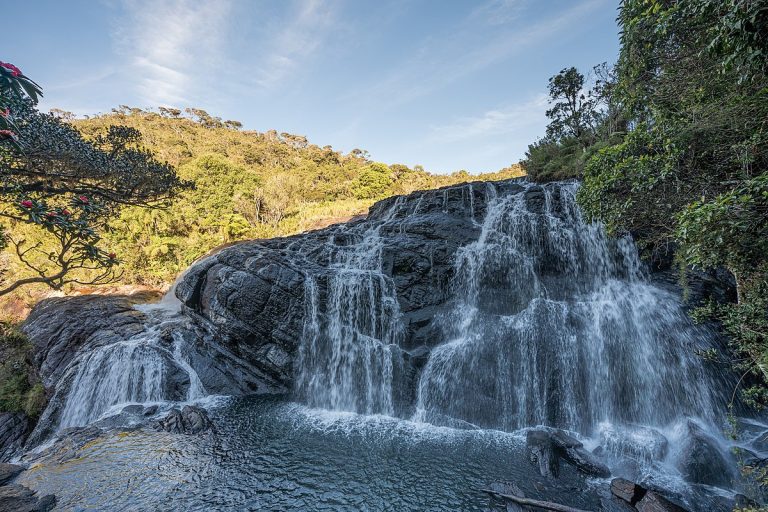 hortonplains
