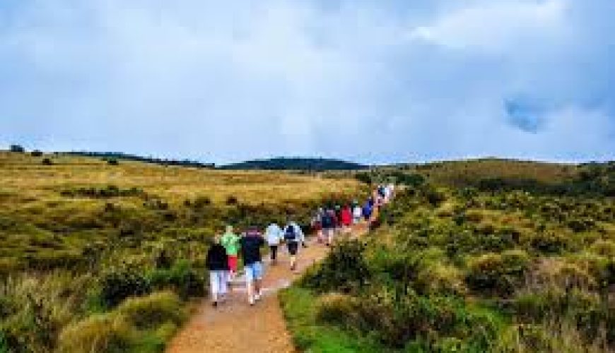 10 Essential Tips for Your First Trip to Sri Lanka