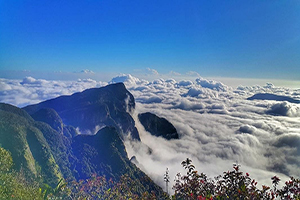 The Knuckles Mountain Range