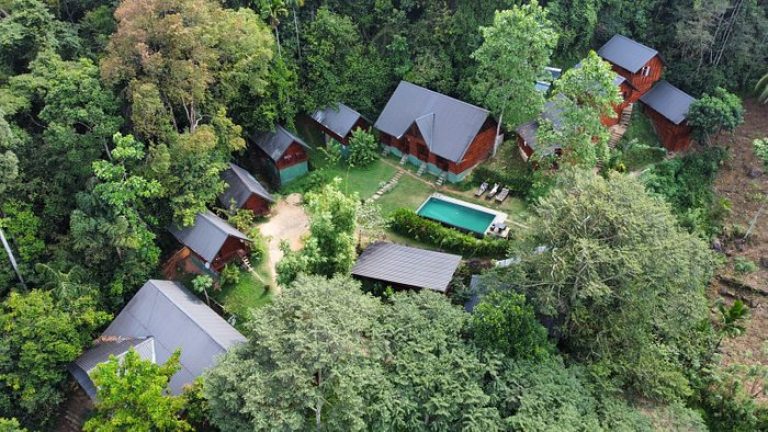 sinharaja5
