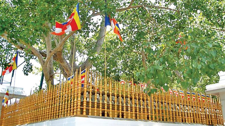 sri maha b
