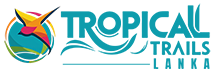 TropicalTrails